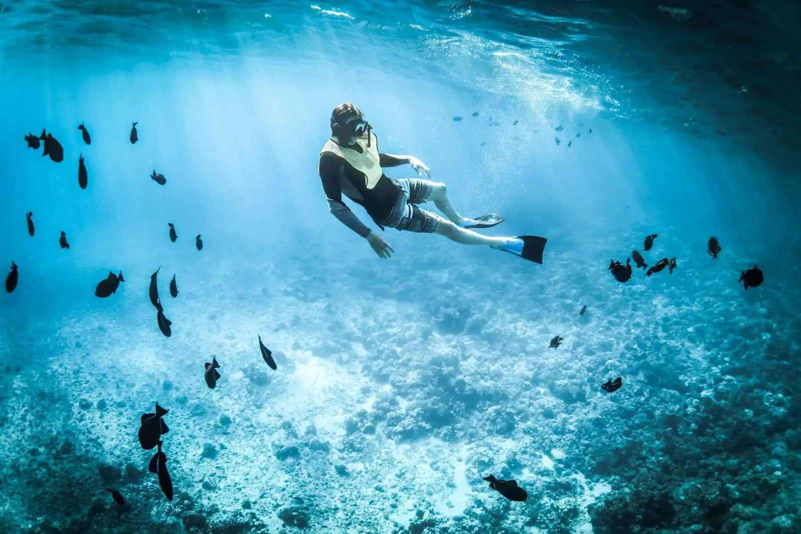 Foto — Mergulho e snorkel