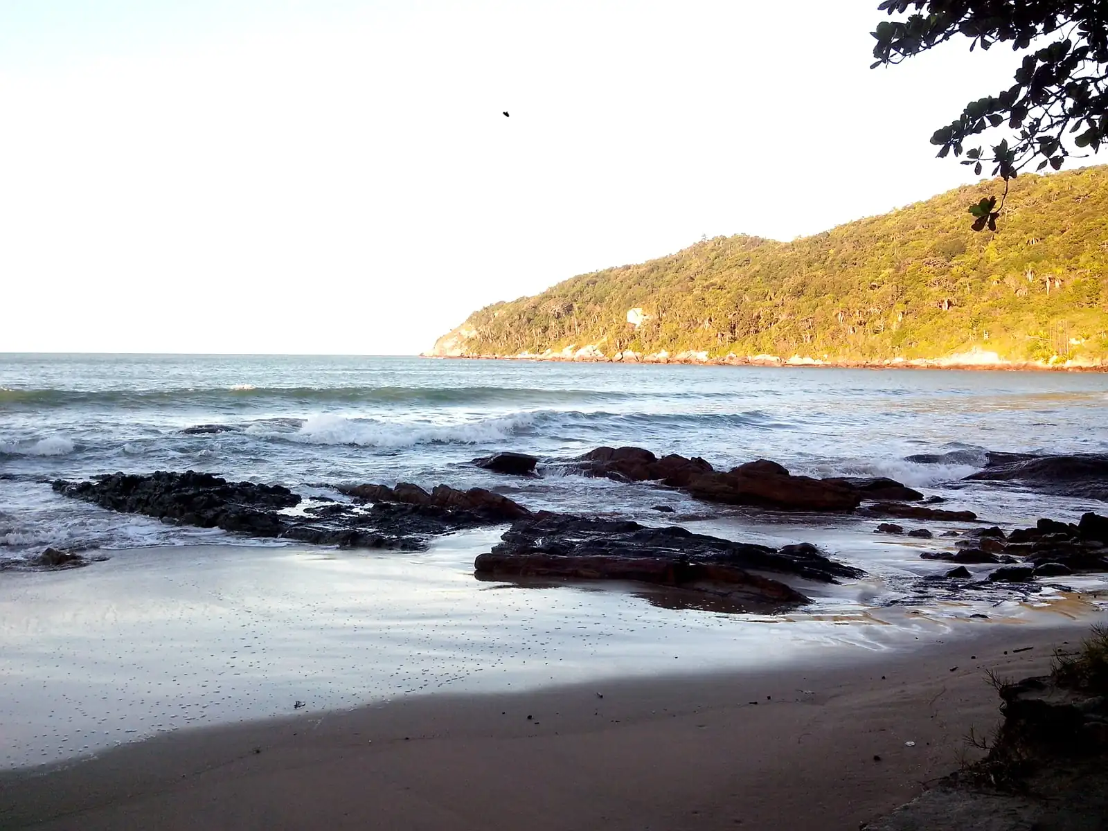 Praia da Sepultura — foto 2